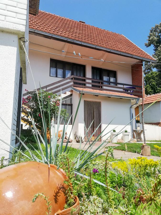 Rtanjski Konak Boljevac Ngoại thất bức ảnh